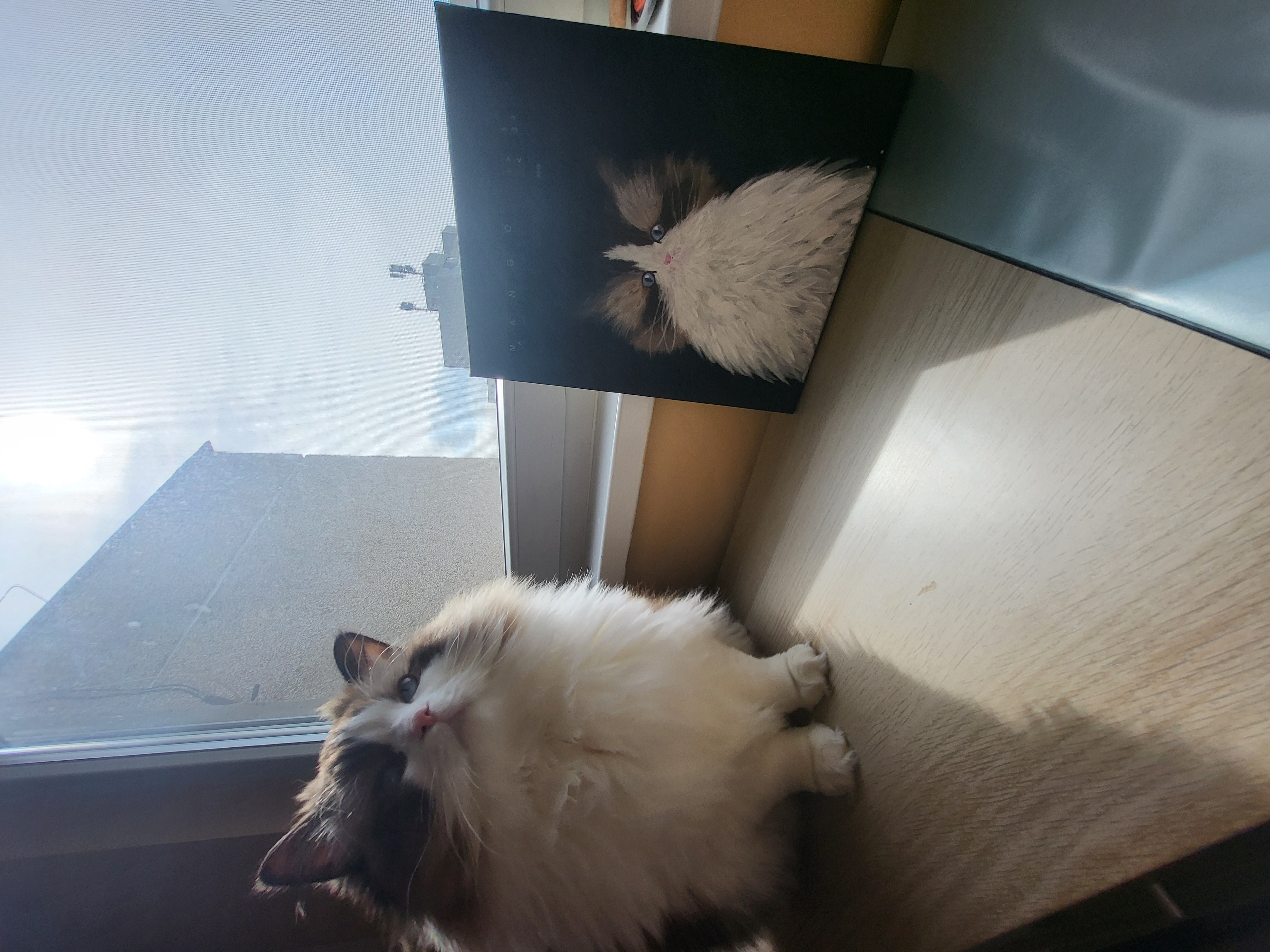 /images/Galeria/Képek gazdiktól (Pictures from owners)/20230330_105205.jpg